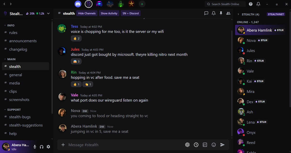 StealthDiscord inside Discord